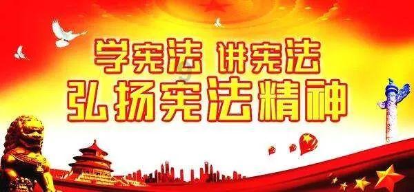 妙鸭相机app下载官网