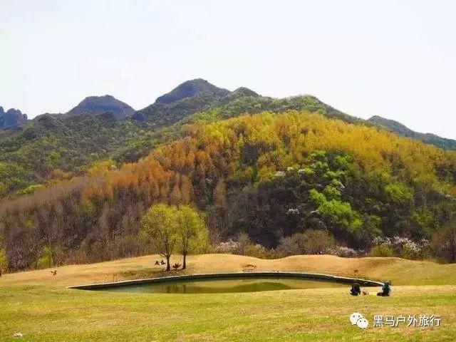剑侠情缘手游