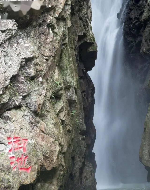植物大战僵尸18