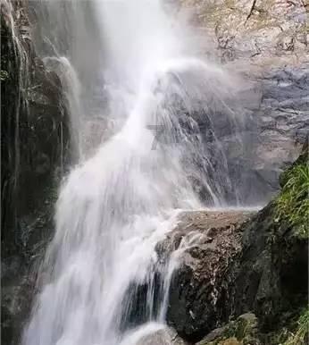 探索蜗牛世界,尽在徐根宝足球基地学费一年多少问答平台