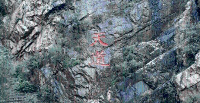 一般医疗纠纷赔几万？游戏画面