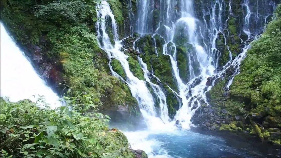 精灵的冒险之旅