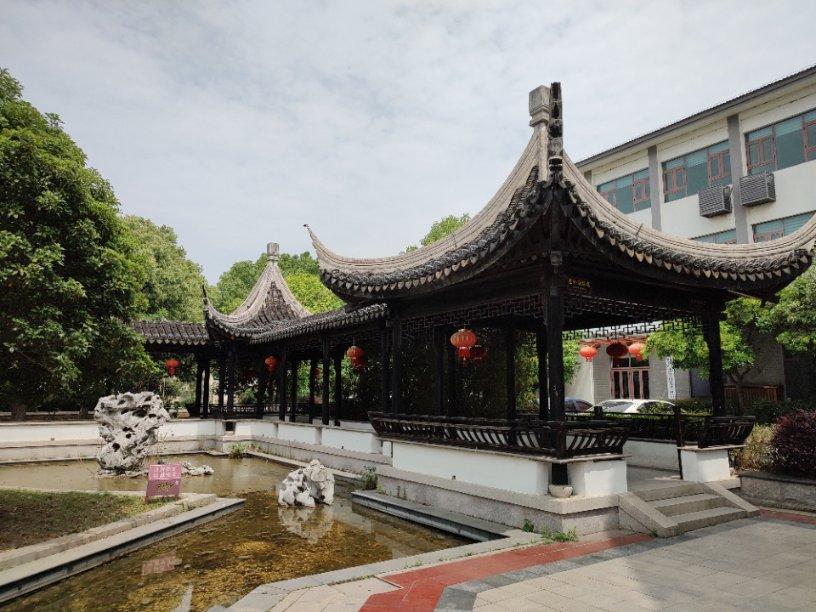 动物帮帮忙保卫家园
