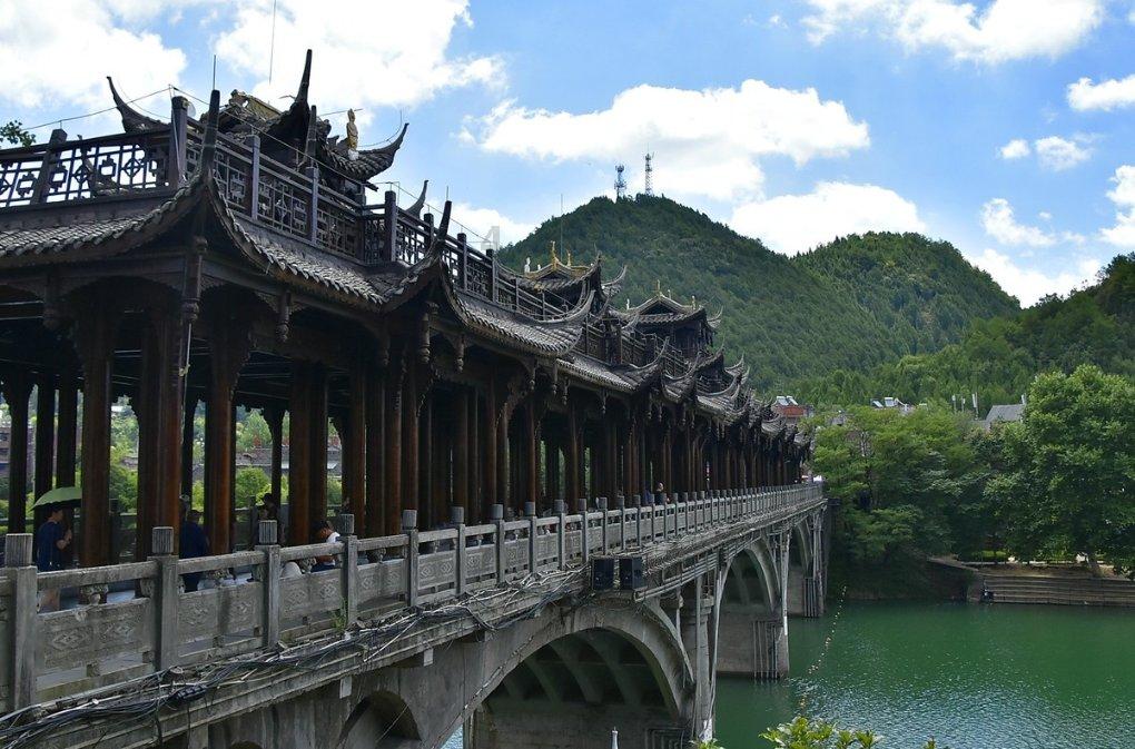 臭屁虫吃吃吃